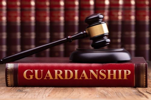 guardianship rights law book
